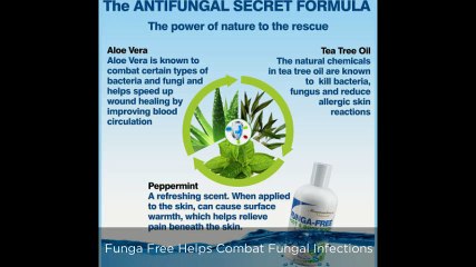 Tea Tree Oil Therapy -A Natural Effective Method