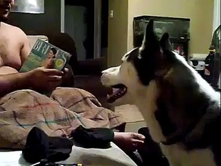 Dog afraid of Julia Roberts!