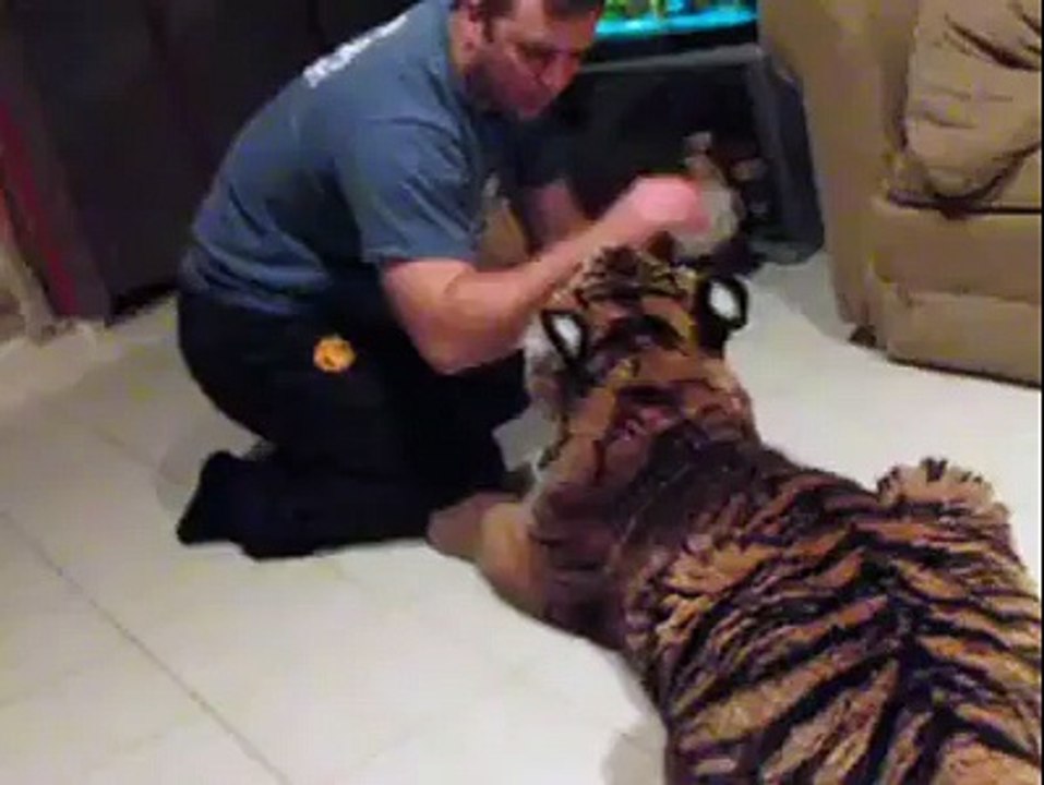 Evde Kaplan Beslemek 2