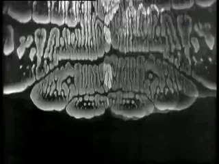 Doctor Who S05E03 Part 5 CZ Sub