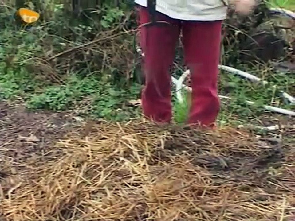 Baronnet- une maison autonome