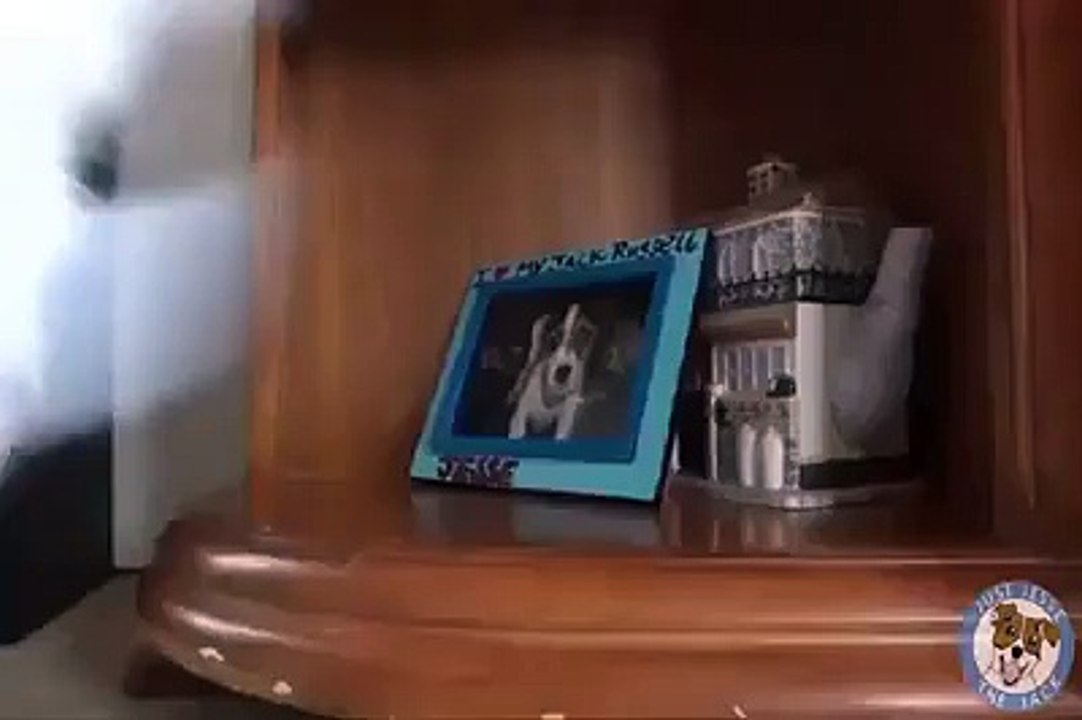 Amazing video