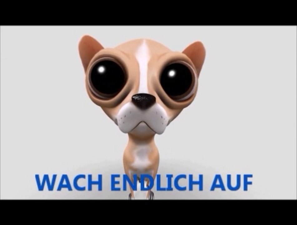 Charlie Hebdo - Waren es Platzpatronen - Neues Video  - zeigt wie Paris-Attentäter ein Polizeiauto beschießen