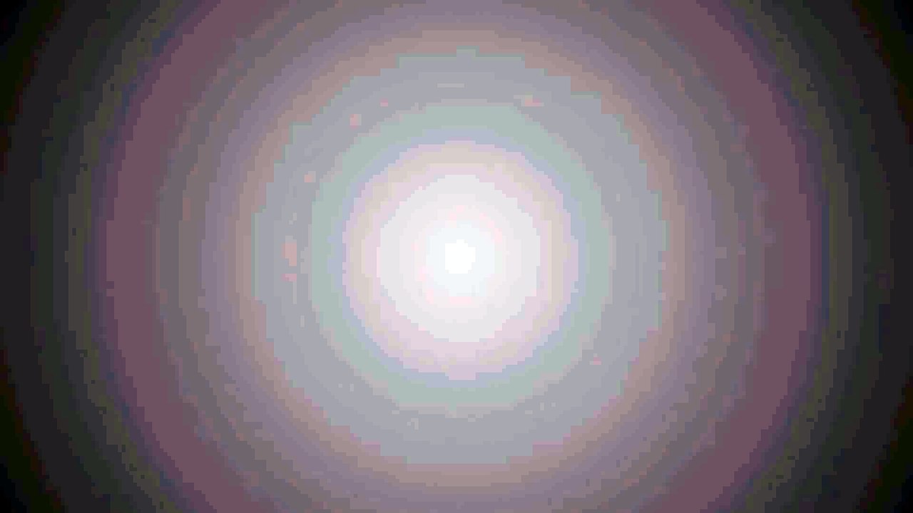 Motion With Sound For Any TV Program Chanel and Company
