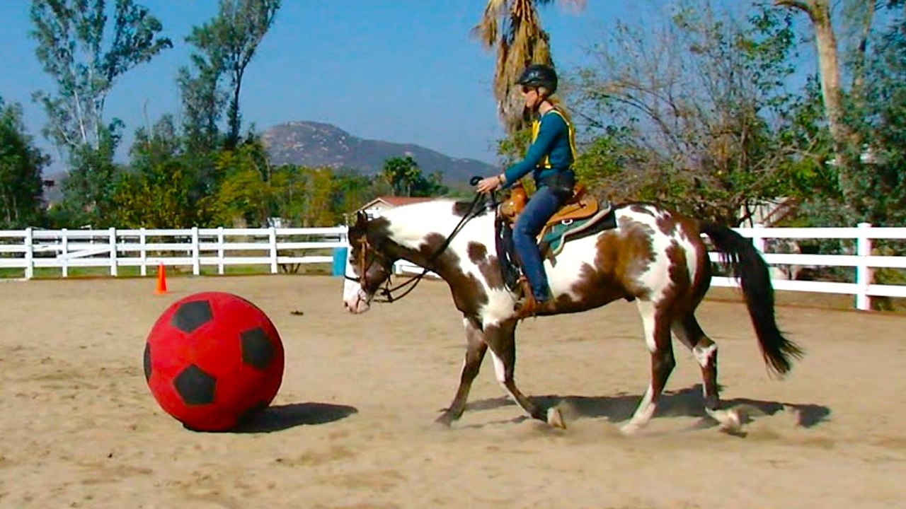 Super-Sized Soccer