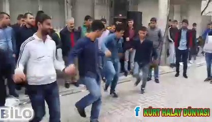 ŞEMAMÊNİN BÖYLESİ GÖRÜLMEDİ