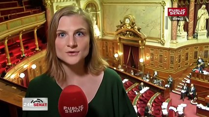 Projet de loi relatif à la nouvelle organisation territoriale de la République - En séance