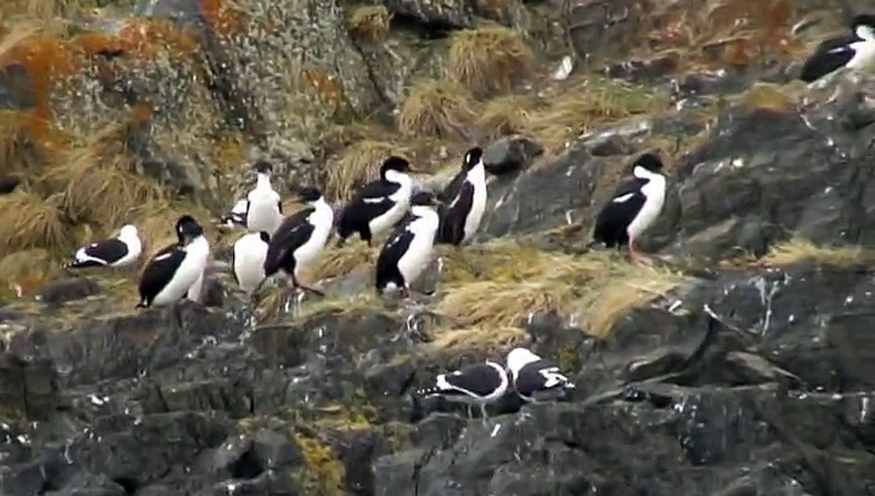 CANAL DE BEAGLE