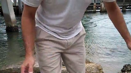 Nature Seal- Concrete sealer saltwater submersion test