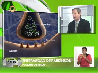 ¿Qué la enfermedad de Parkinson?