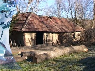 Vesti na vlaškom jeziku, 14. januar 2015. (RTV Bor)