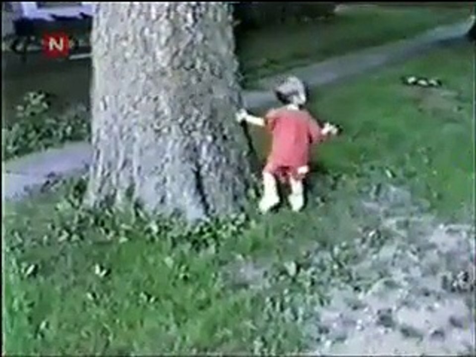 AFV