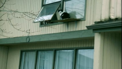 Dreamhouse Anthology