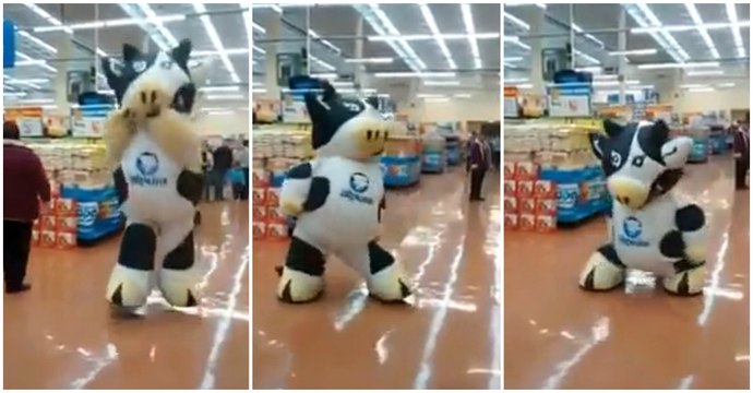 Dancing Cow Mascot Has Awesome Moves In Mexican Grocery Store