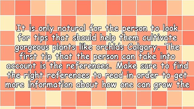 How To Cultivate Amazing Flowers Such As Orchids