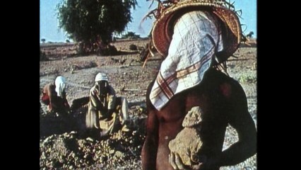 Rear Window - AFRICAN ART THEFT
