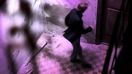 V.Stepanov - Розовый фламинго `2015