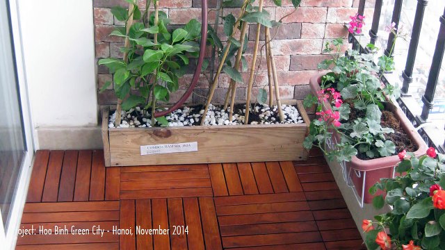 Ván Sàn Gỗ Tự Nhiên - Trang Trí Sân Vườn - Trang Trí Ngoại Thất - Chung cư Hòa Bình Green City - Hà Nội