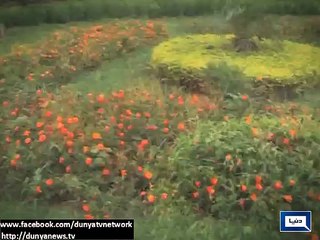 Dunya News-Rain, icy wind add to winter chill