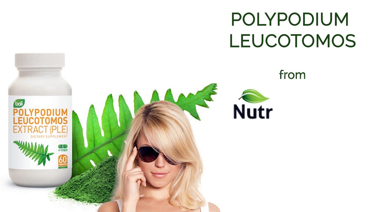 POLYPODIUM LEUCOTOMOS