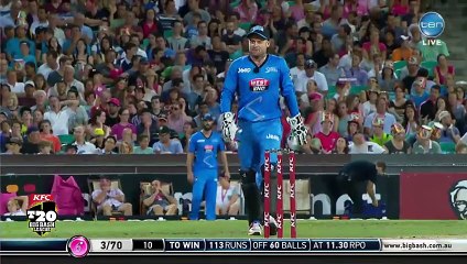 You might have seen a lot of unusual things in cricket but this is New