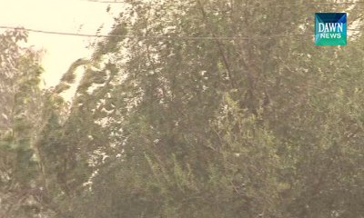 Cold weather in different parts of country