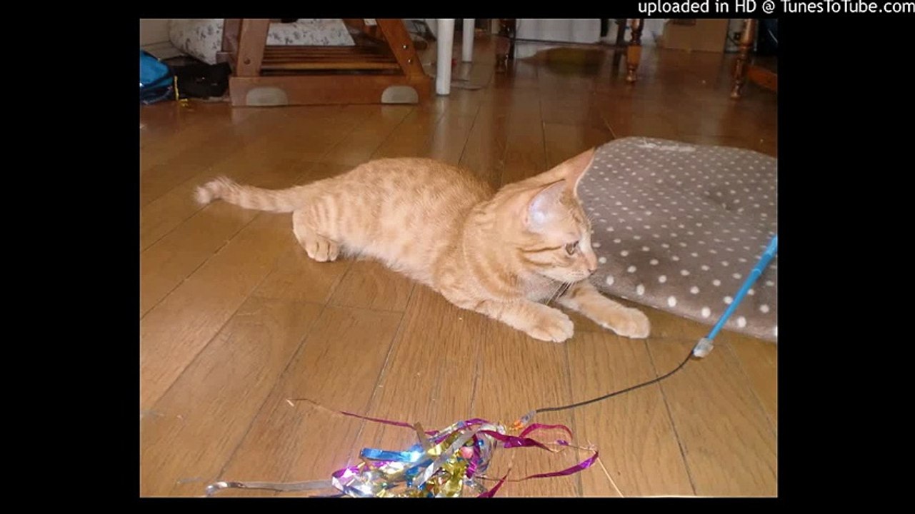 ひまわり/I Girasoli/Love Theme From Sunflower/Henry Mancini/ピアノ 高橋丈太郎