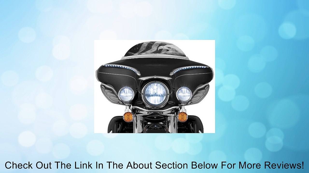 Kuryakyn Phase 7 4-1/2" LED Passing Lamps 2005+ Harley 2247 Review