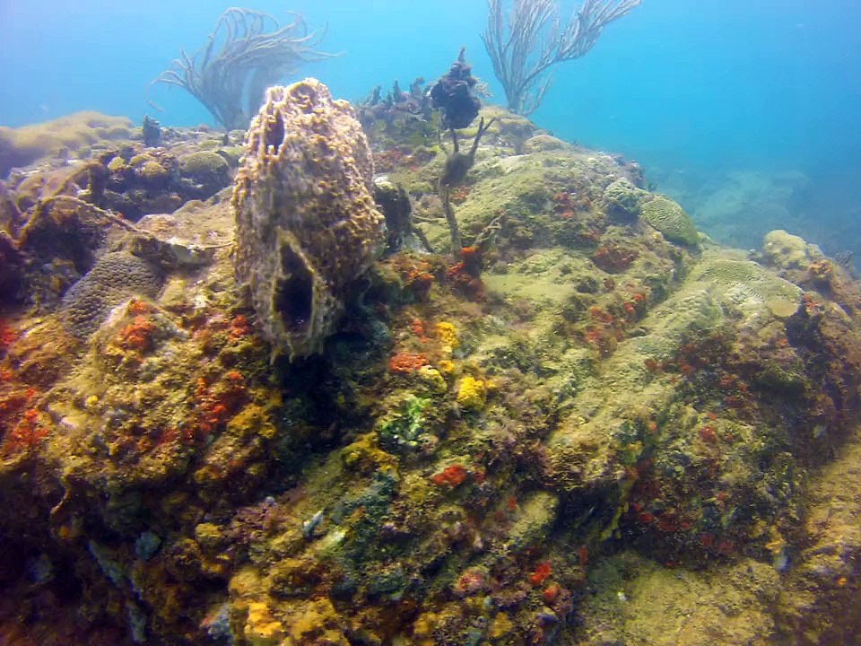 Tobago 2014