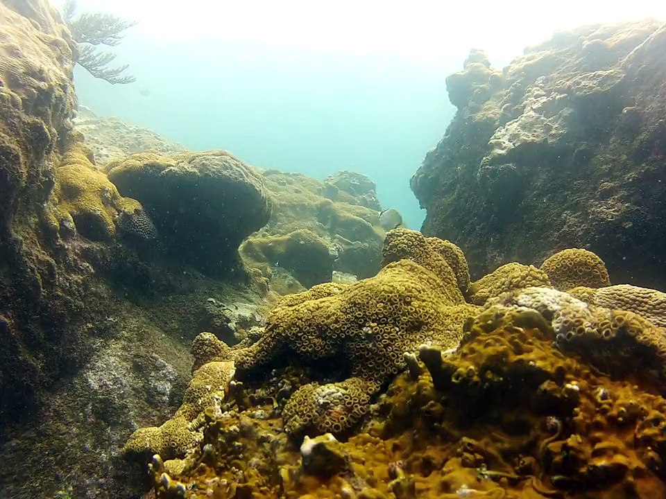 Tobago 2014, passage grotte
