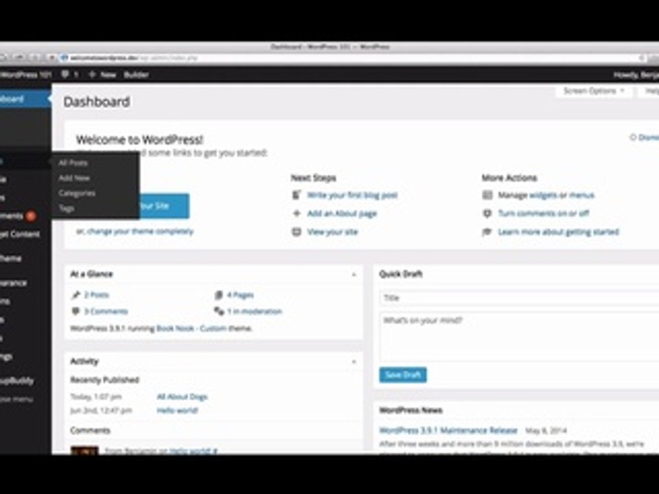 Scheduling WordPress Posts - How to Schedule Posts in Wordpress - wpmags tutorials