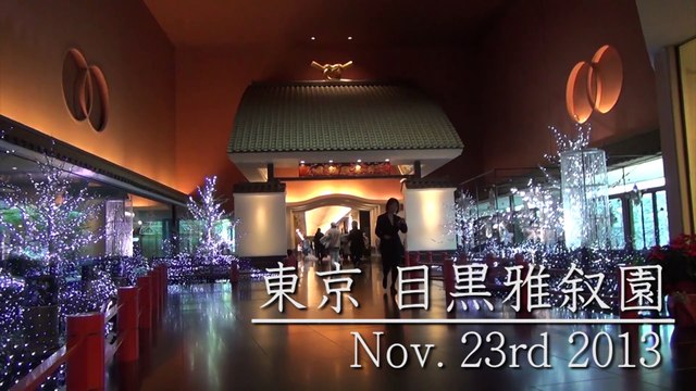 フラッシュモブ サプライズ 結婚式 One Direction What Makes You Beautiful 披露宴 Flash Mob 余興