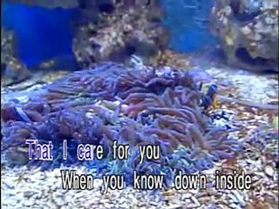 HOW DEEP IS YOUR LOVE