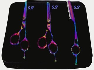 Top 10 Shears & Scissors to buy