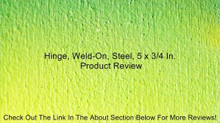 Hinge, Weld-On, Steel, 5 x 3/4 In. Review