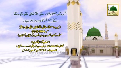 Rabi ul Awwal Information 17