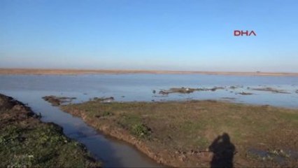 Samsun 7 Kişiye Mezar Olan Göl Bölge Halkının Geçim Kaynağı