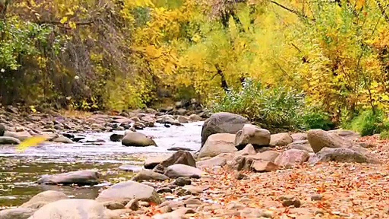 Des sculptures en pierres comme par magie !