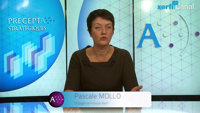 Pascale Mollo, Xerfi Canal Sedrap bouscule l'édition scolaire avec le numérique