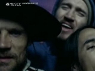 RHCP - Desecration Smile