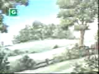 Animaux du bois de quat sous