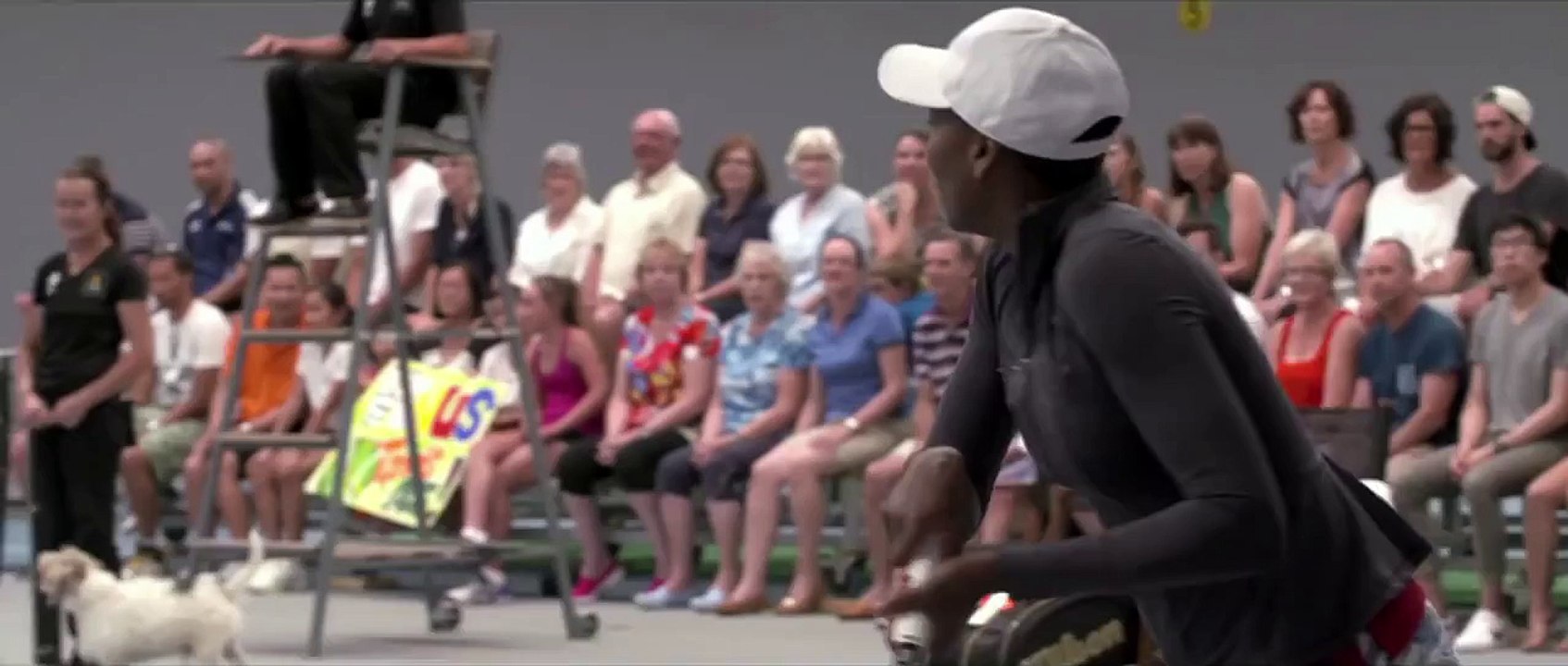 Quand les ramasseurs de balle sont remplacés par des chiens