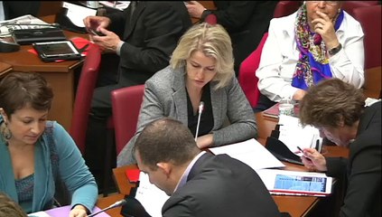 Audition de Mme Nathalie Sonnac, dont la nomination au CSA est envisagée - Mercredi 14 Janvier 2015