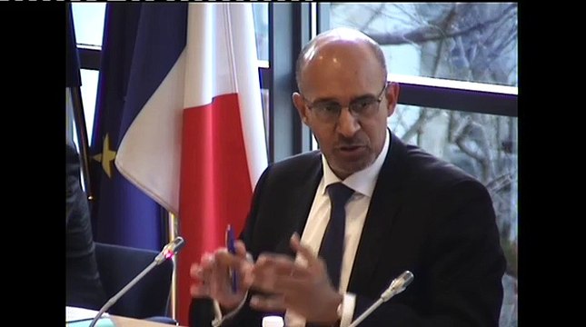 Audition de M. Harlem Désir, ministre, sur le Conseil européen des 18 et 19 décembre 2014 - Mercredi 14 Janvier 2015