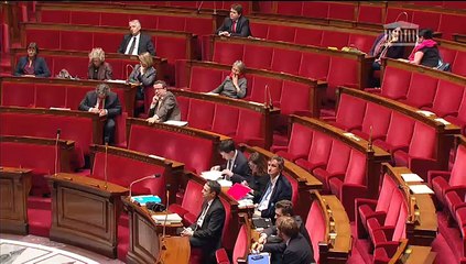 DÉBAT D’ORIENTATION POUR LA STRATÉGIE NUMÉRIQUE DE LA FRANCE - Mercredi 14 Janvier 2015