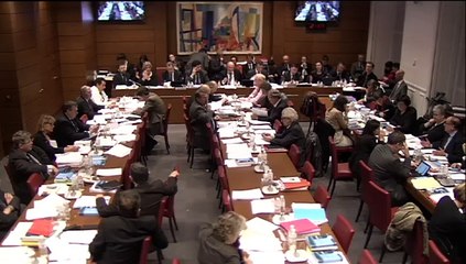 Commission spéciale croissance et activité - Mercredi 14 Janvier 2015
