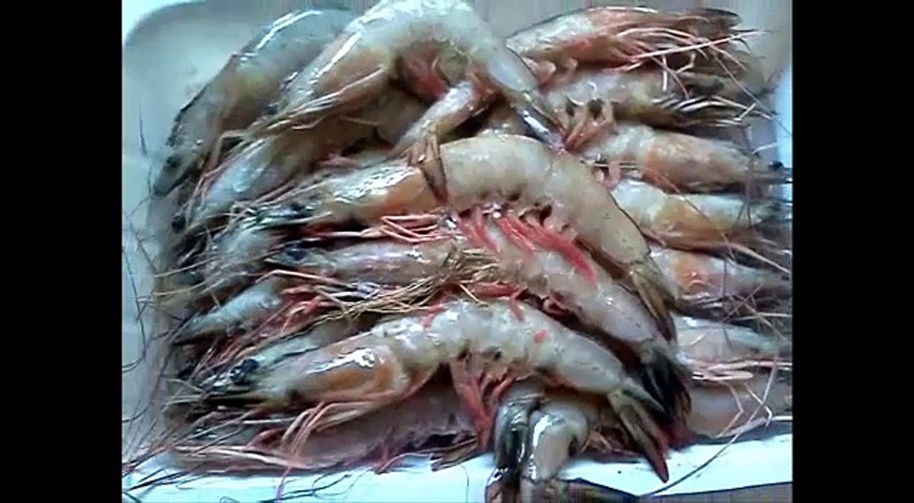 Fresh Prawns