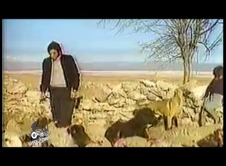 Programa 01 (2012) - Bloque 03 - Iracundos