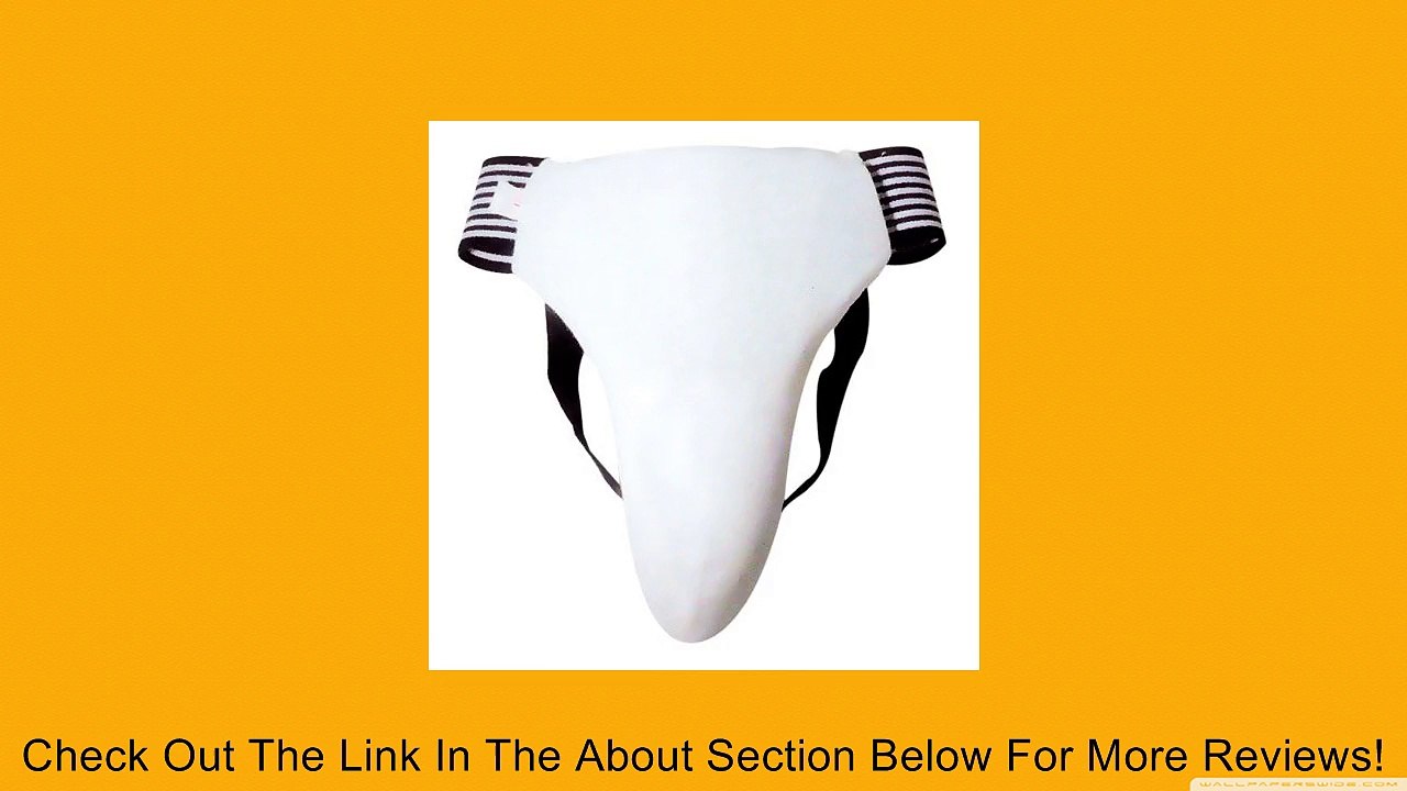 Taekwondo Martial Art Male Groin Protector /Groin Guard(outside) Review