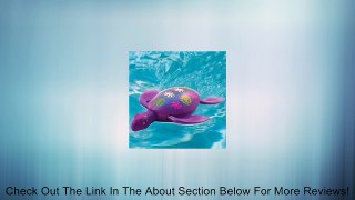 Rainbow Reef Turtle (Color May Vary) Review